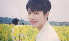 杨紫和肖战最新爆料真的